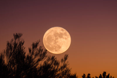 Super Moon in Gemini: Clarity and Consciousness