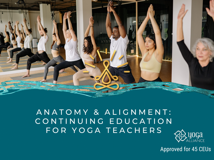 Anatomy and Alignment: Continuing Education for Yoga Teachers - The Kaivalya Yoga Method